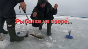 Рыбачим на жерлицы на озере. Наловили щук.