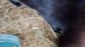 Хозяйство/Еда.