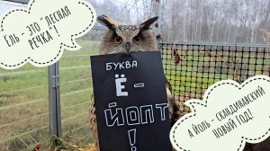 Ёль - что значит имя совы? День рождения буквы Ё
