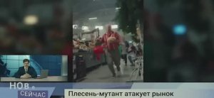 На Питерский рынок было совершено нападение Чайного Гриба.