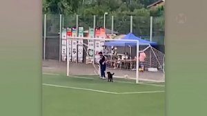 Эти Случаи в Спорте Хочется Пересматривать!