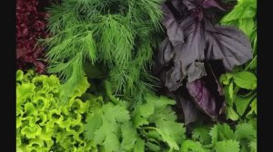 Заморозка зелени и овощей на зиму!!!🥦🥦🥦