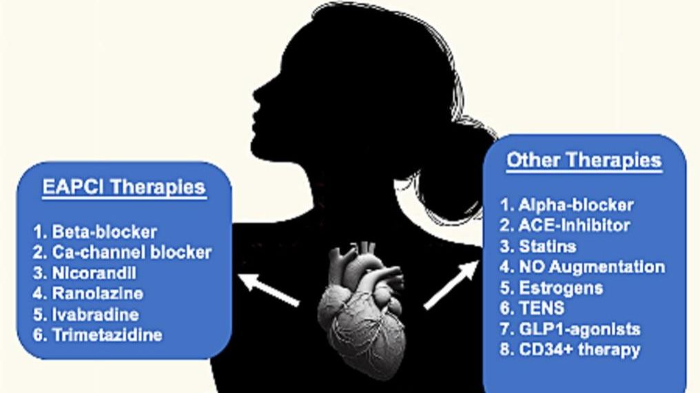 Скрытая проблема сердца: обзор терапевтических стратегий при коронарной микрососудистой дисфункции