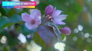 Исцеление от мигрени, ВСД, панических атак. Избавление от головной боли (RELAX version).