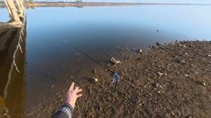 Наловили сазанов на спининг. Пожарили и сделали хэшник по корейски. #낚시 #fishing #кино #automobile