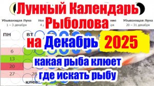 Прогноз Клева рыбы на Декабрь 2025 Лунный календарь рыбалова на Декабрь