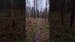 27.11.2025 - Поездка к месту погребения прп. Никиты