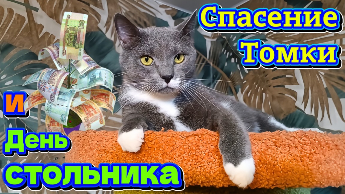 Спасение Томки и День стольника.