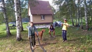 Зарядку никто не отменял!