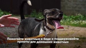 Говорим о важном с Дмитрием Цыпиным 1 декабря 2025г