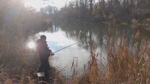 Рыбалка на ЖИВЦА в конце Ноября. Ловля щуки осенью!Живцовая рыбалка на щуку!