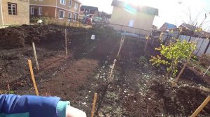 Влог от 20.10.2021