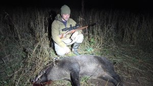 ОХОТА НА КРУПНОГО КАБАНА. ДОБЫЛ МЯСА НА ДВЕ СЕМЬИ.