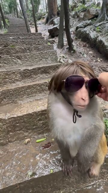 Для фото на соцсети