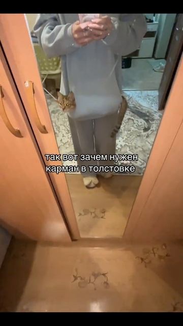 Кот добавлен в инвентарь