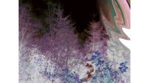 В осень... стихи Овсей Фрейдзон исп Вера Пенькова муз Виктор Воронцов фото видео Татьяна Талызина