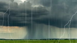 3 моих любимых стиха