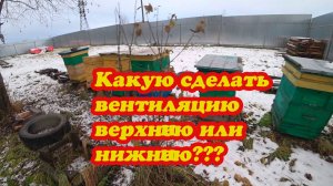 ЗИМОВКА ПЧЁЛ НА ВОЛЕ В КОНЦЕ НОЯБРЯ И КАКАЯ СЕЙЧАС ВЕНТИЛЯЦИЯ В УЛЬЯХ.