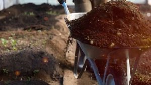 Не торопитесь сажать. Важная обработка почвы в теплице ! #сад #огород #дача