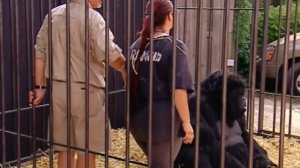 Просто для смеха-32