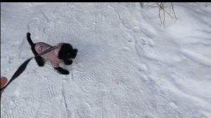 Всех с Праздником!