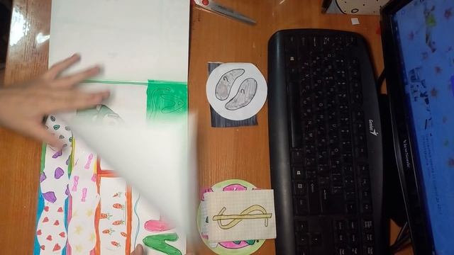 распаковка бумажных сюрпризов заканчиваем каталог!!