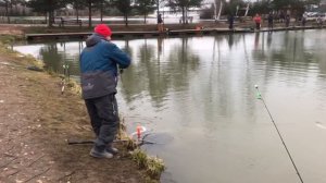 поимка форели на спиннинг