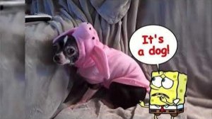 Мультики для детей. Яркие Мультики  . Детские мультики для малышей смотреть