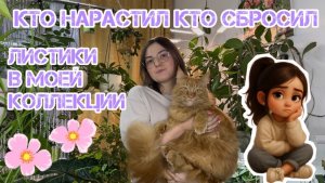 Мини обход.