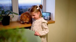 Разговоры о важном 1 декабря 2025г Пять дел для друга