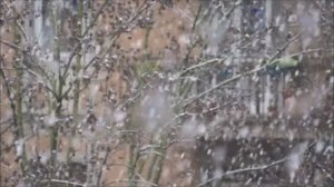 Ноябрь медленно идет к концу.