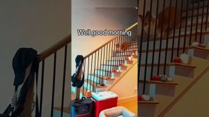 ТИК_ТОК___МЕМЫ_3