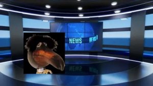 Выпуск новостей (от 29.11.2025)