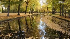 🍂Золотая "Осень"🍁 /Отражение в озере/Осенняя абстракция🍁благодарность Виктору Классину за песню.