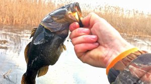 Ловлю ротанов. Зимняя рыбалка. Новый водоём.