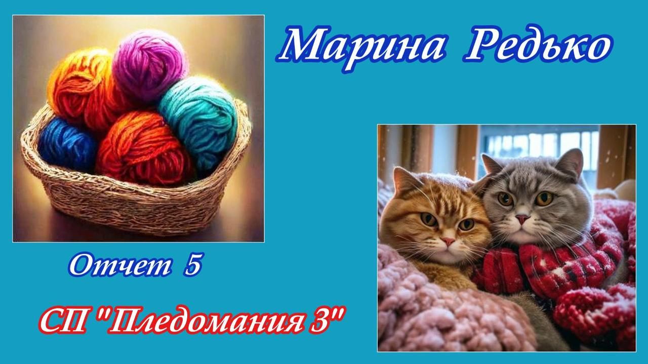 СП "Пледомания 3" / Отчет 5 смотреть онлайн