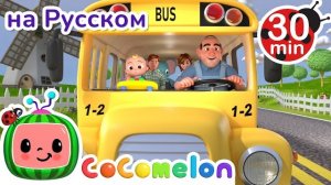 Колеса Автобуса