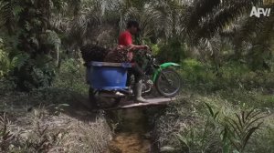 America′s Funniest Home Videos. The Camera Was Rolling When This Happened! 💥 Best Fails of the Week