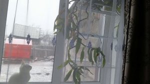 Капусту посолила.Жаль, но лишних надо убирать.