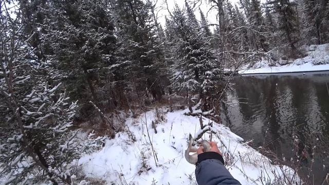 Закрытие осеннего сезона по Хариусу!  Попали на КЛЁВ РЫБЫ в Тайге! Поймали по КАНУ!