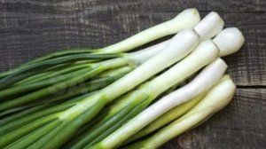 ЗАМЕНИЛИ ОСВЕЩЕНИЕ ЛУК ПОШЁЛ.