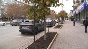 50 тыс. тюльпанов высадили на городских клумбах работники МБУ «Благоустройство»