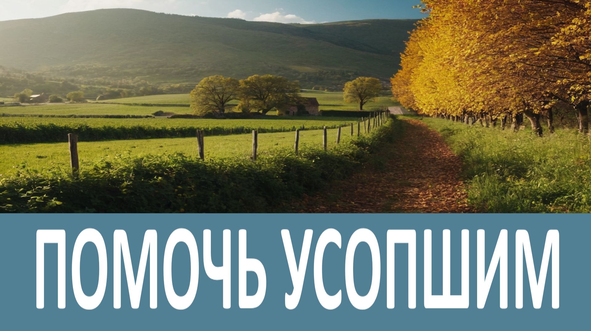 Что приносит нашим усопшим наибольшую пользу смотреть онлайн