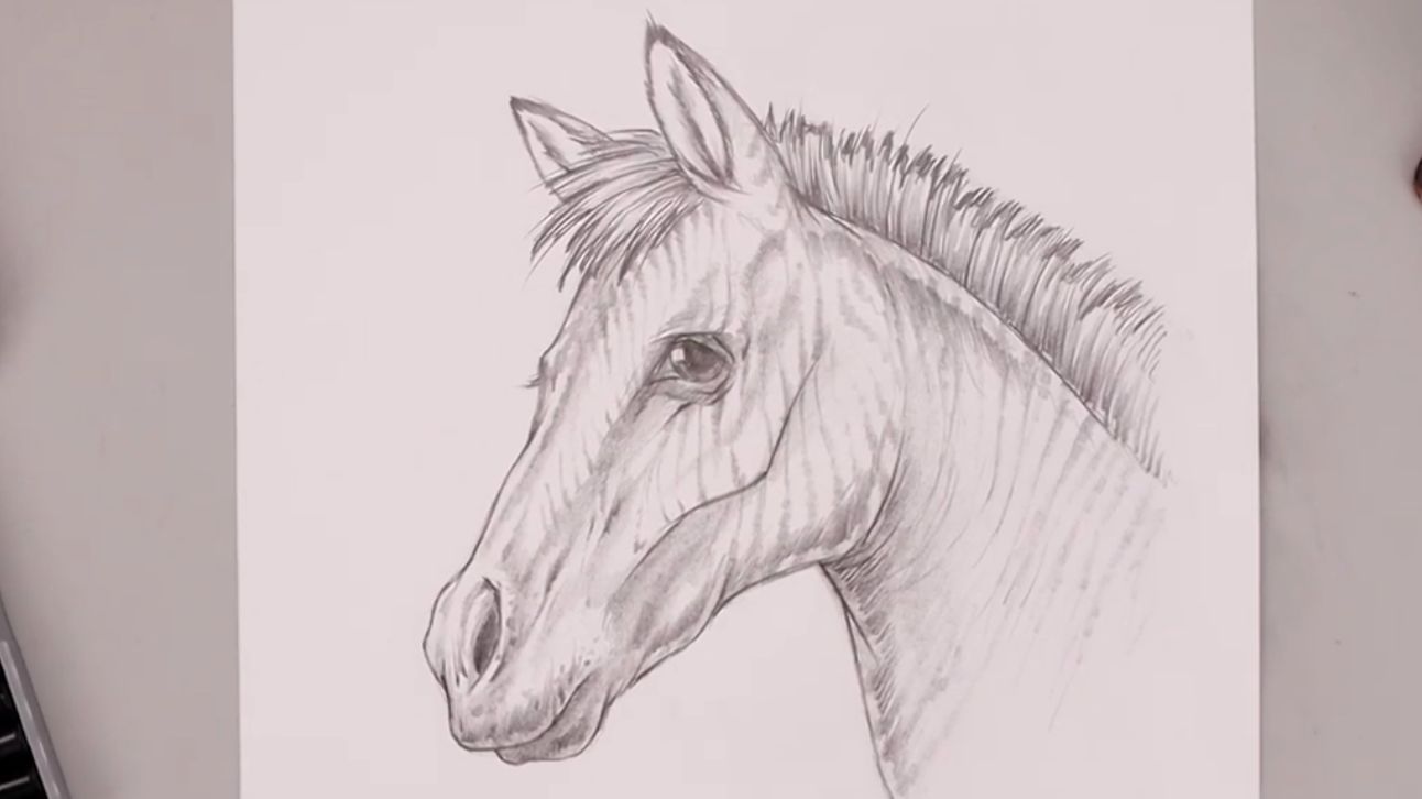 Как нарисовать Лошадь карандашом