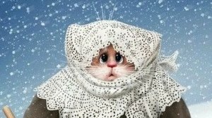 СП"Зима на носу".Итоги.