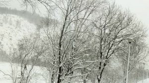 ВСЕ СНЕГОМ ЗАМЕЛО ЗИМА СВЕЖЕСТЬ И МОРОЗ ПРИРОДА #РОССИЯ