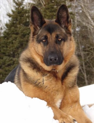 пишите вопросы в комментариях