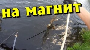 Находки на магнит в старом парке!