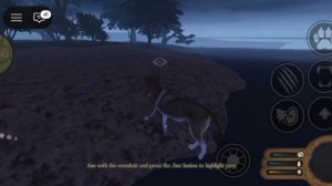 ГАЙД НА ВОЛКА, ДЛЯ НОВИЧКОВ 
Wolf Guide for beginners! REEK