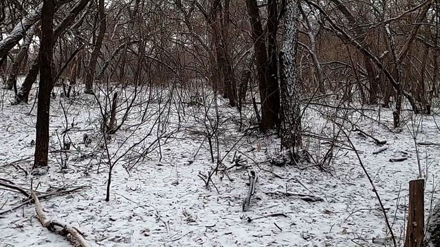 Не зря говорят, жизнь прожить - не поле перейти.